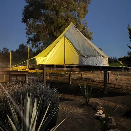 Cosmo Glamping-3