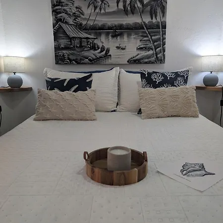 Casa Marlin And Casa Ballena Boutique Beach Houses Playa Preciosa-2
