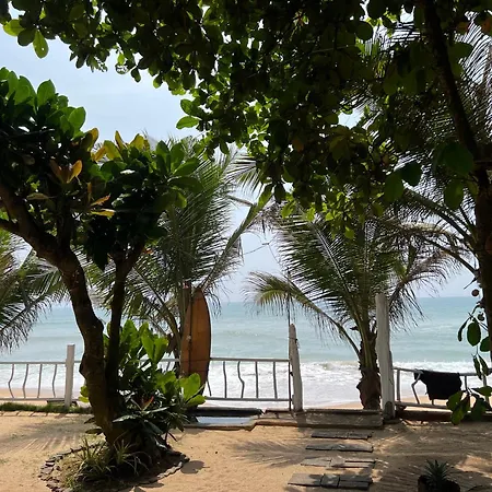Coconut Surf House-2