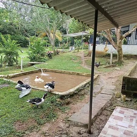 El Paraiso-2