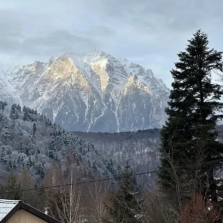 Twin Cabins Azuga-3