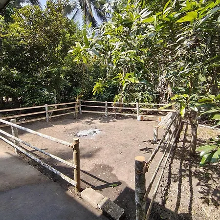 Resonanace Homestay Nature Stay In Wayanad-2