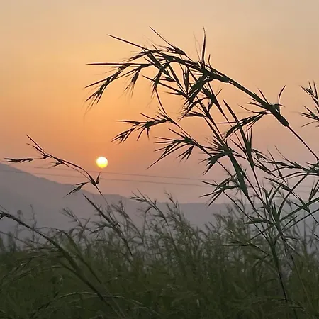 Countryside Retreat-3