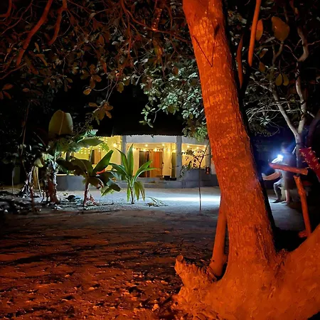 Bush Baby Compound-3