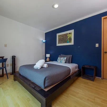 Casa Hidalgo By Mi Querido Coyoacan-3