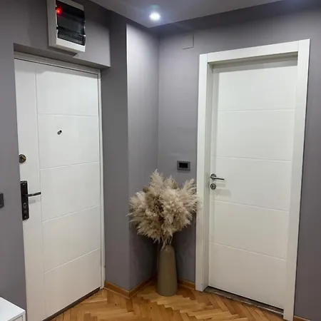 Luksar Apartment Nis-2