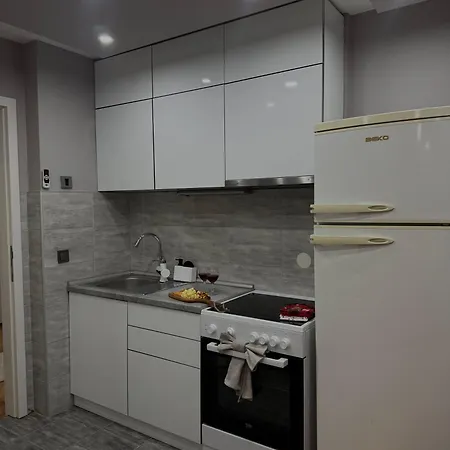 Luksar Apartment Nis-3