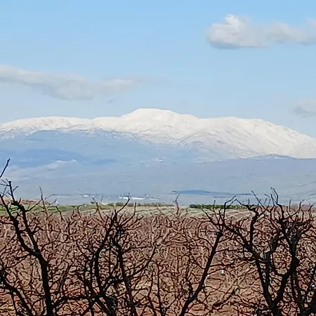 נוף לחרמון דפנה-2