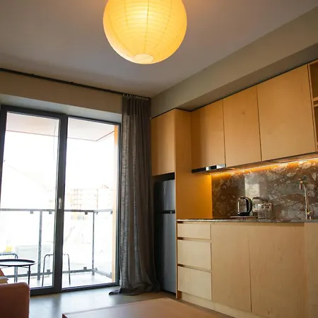 New Gudauri Four Season Premium Apartments-3