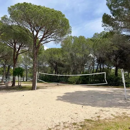Le Panorama Des Pins - Terrasse, Golf, Piscine - Studio 4 Pers-2