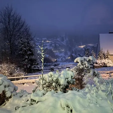 Pension Talblick Bad Grund-3