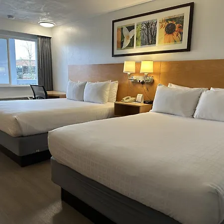 Hotel Nexus; BW Signature Collection-3