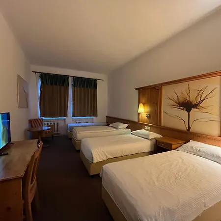Hotel Branik-3