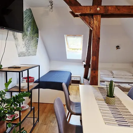 B&B Vila Teslova-2
