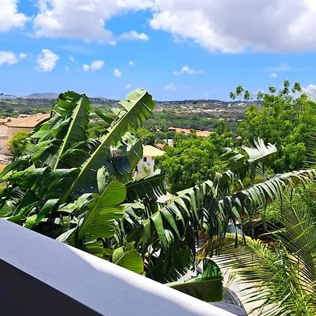 Near Jan Thiel & Mambo Modern, Pool & Views-2