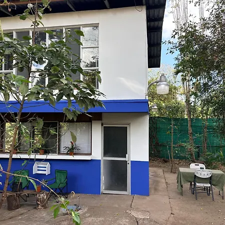 Rainforest Cabin In Escazu-3