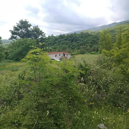 Farm Zeko-2
