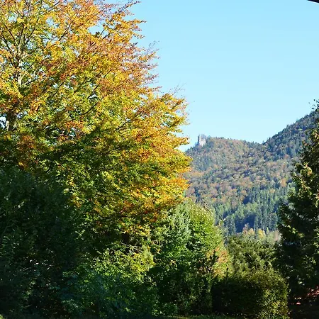 Hotel Garni Sonnenhof-2