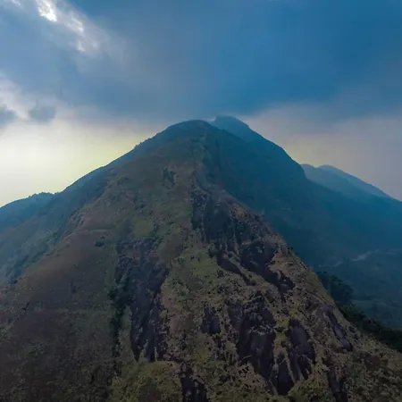 Rock And Mist Munnar House Resort-3