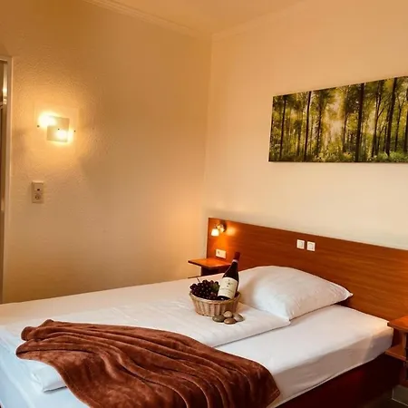 Hotel Falk-3