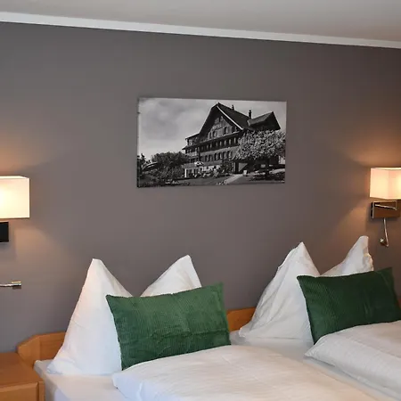 Hotel Friedheim Weggis-2