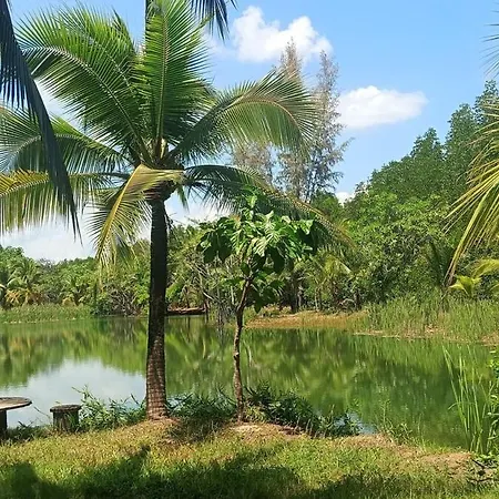 Lanta KS Garden-2