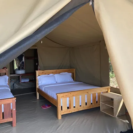 Nature Lovers Camp-3