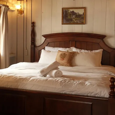 Sia Home-2