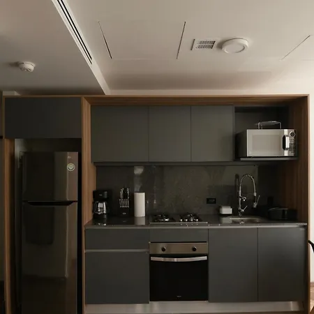 Furnished 2 Bedroom Apartment In Mexico City-3