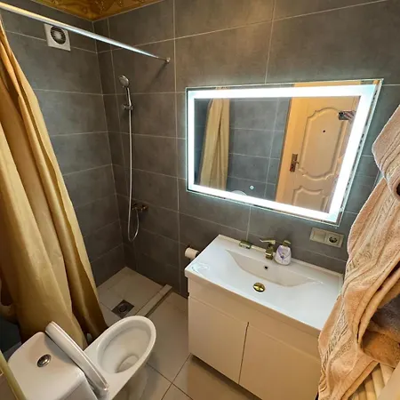 Alexander Central Apt-2