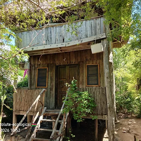 Mida Creek Eco Camp-3