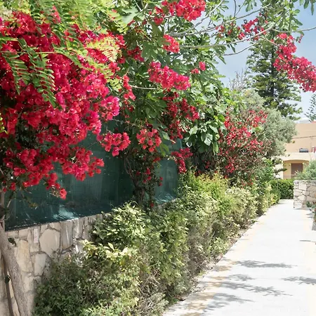 Sirios Village Hotel & Bungalows-3