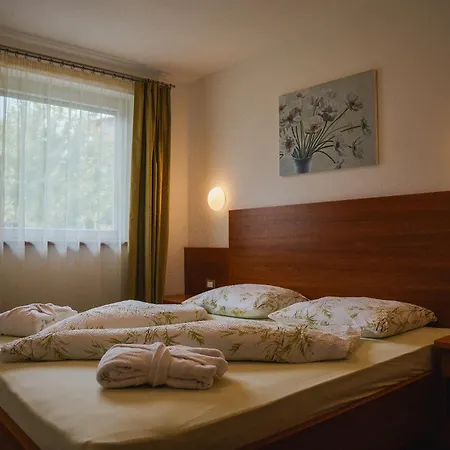 Hotel - Appartements Schmied Hans-2