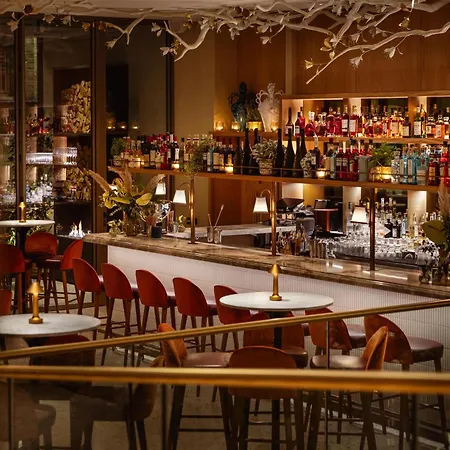 The Botree London, Curio Collection By Hilton-2