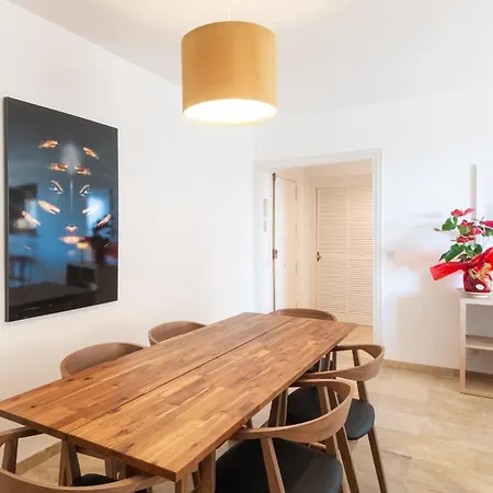 Large Apartment Marbella Del Mar-3
