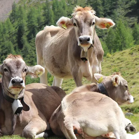 Unterjochmayrhof-2