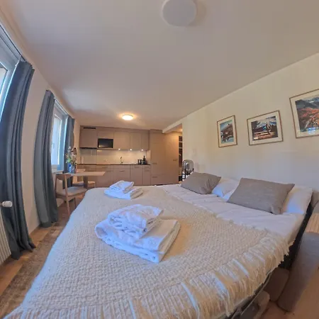 Studio Aurora for 2 people Lenzerheide-2