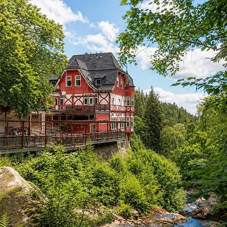 Hotel Steinerne Renne Garni-3