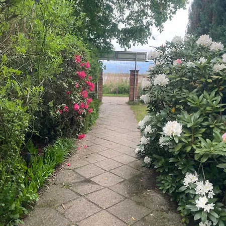 Gast-& Logierhaus Am Rheinsberger See-3