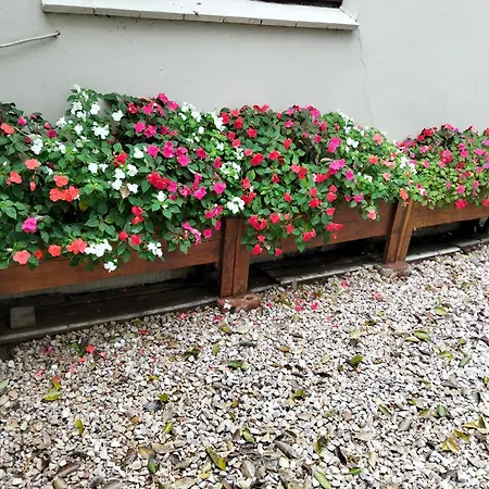 Wilreco Self Carting 2 Bedroom Flat.-3