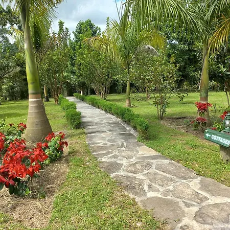 Muga Eco Village-2