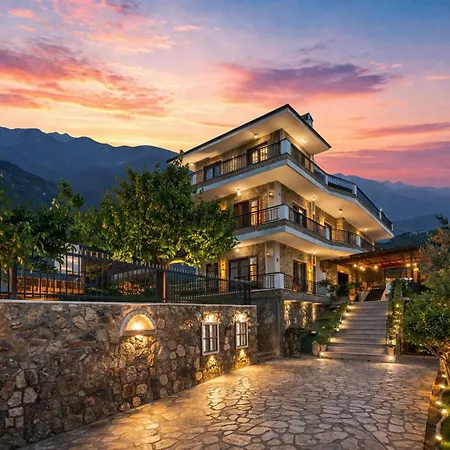 Hotel Villa Stone Dream Bar Restaurant-3