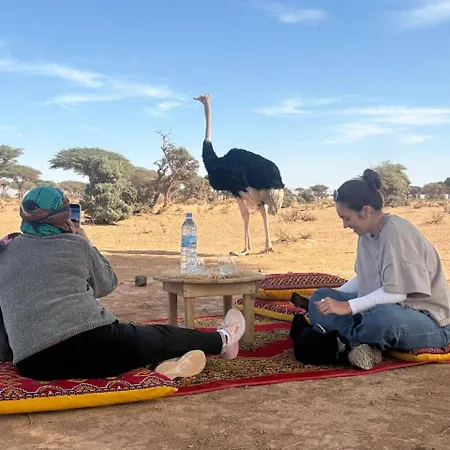 Camp Sahara Holidays-2