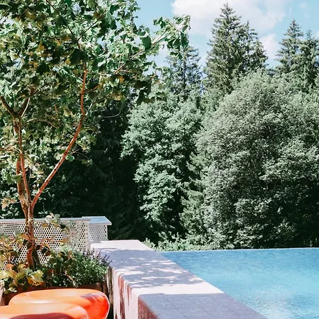Seebichl Adults Only Designhotel Lake - Pool & Dine-3