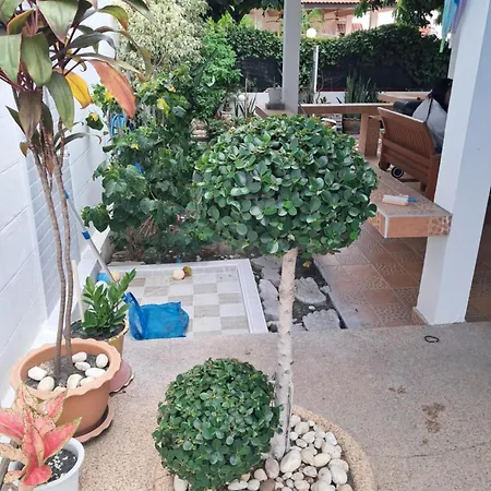 Bonnie Vilage-2