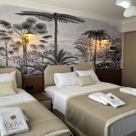 Olive House-3