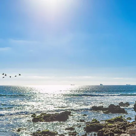 Modern Beauty With Partial Ocean View, Open Concept & Pool - Dog-Friendly-3