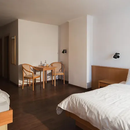 Hotel Garni ALPINA-2