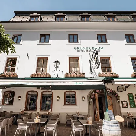 Hotel Grüner Baum-3