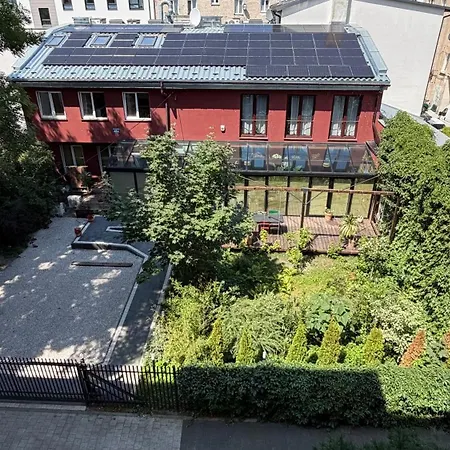 Szmulson-2
